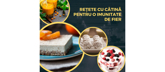 Rețete sănătoase și simple pentru a-ți întări imunitatea cu cătină